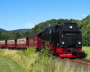 Train Robbing is Back in Vogue